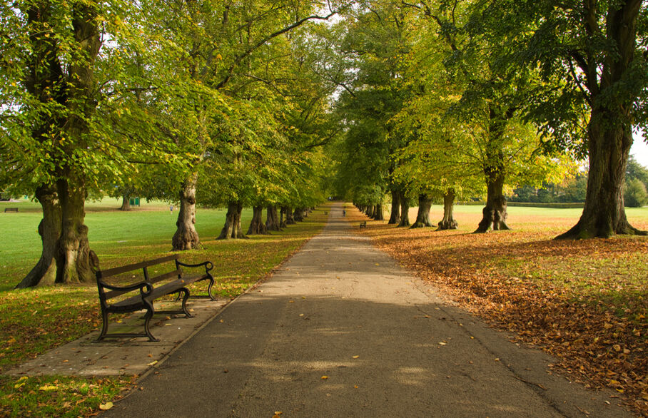 Rothamstead park in Harpenden