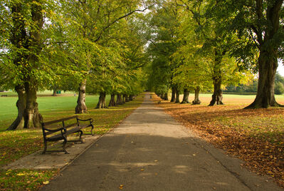 Rothamstead park in Harpenden