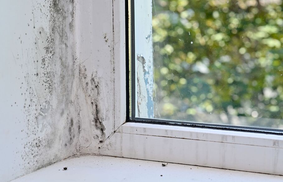 What is Awaab's Law and how to landlords prepare for it? A guide