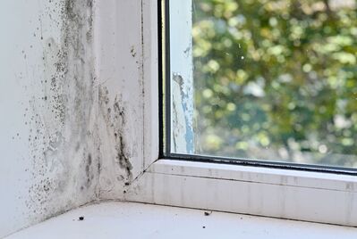 What is Awaab's Law and how to landlords prepare for it? A guide