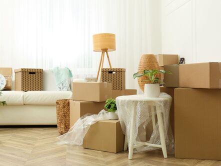 A living room filled with cardboard boxes